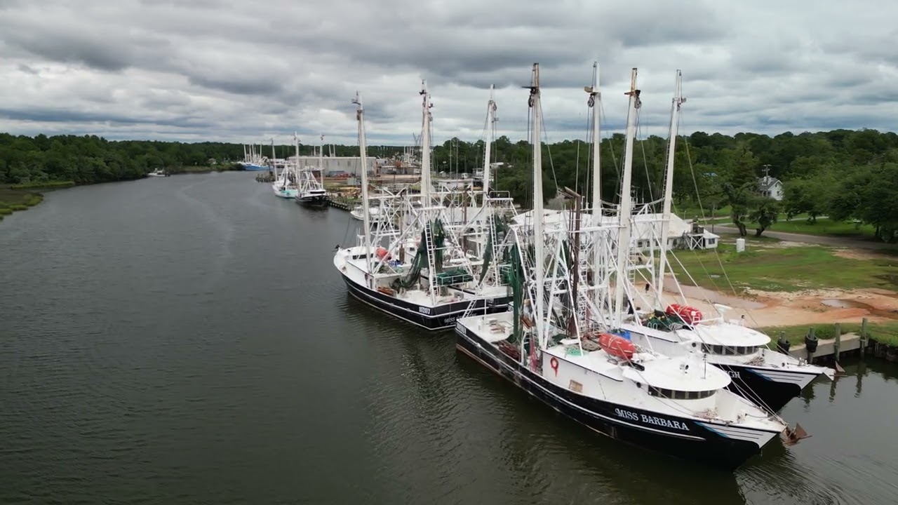 Shrimp row in Bayou La Batre, AL.