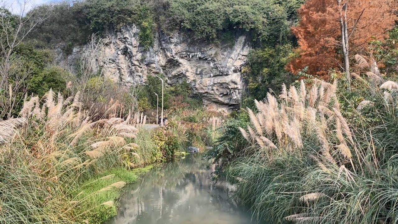 双龙生态公园（一）