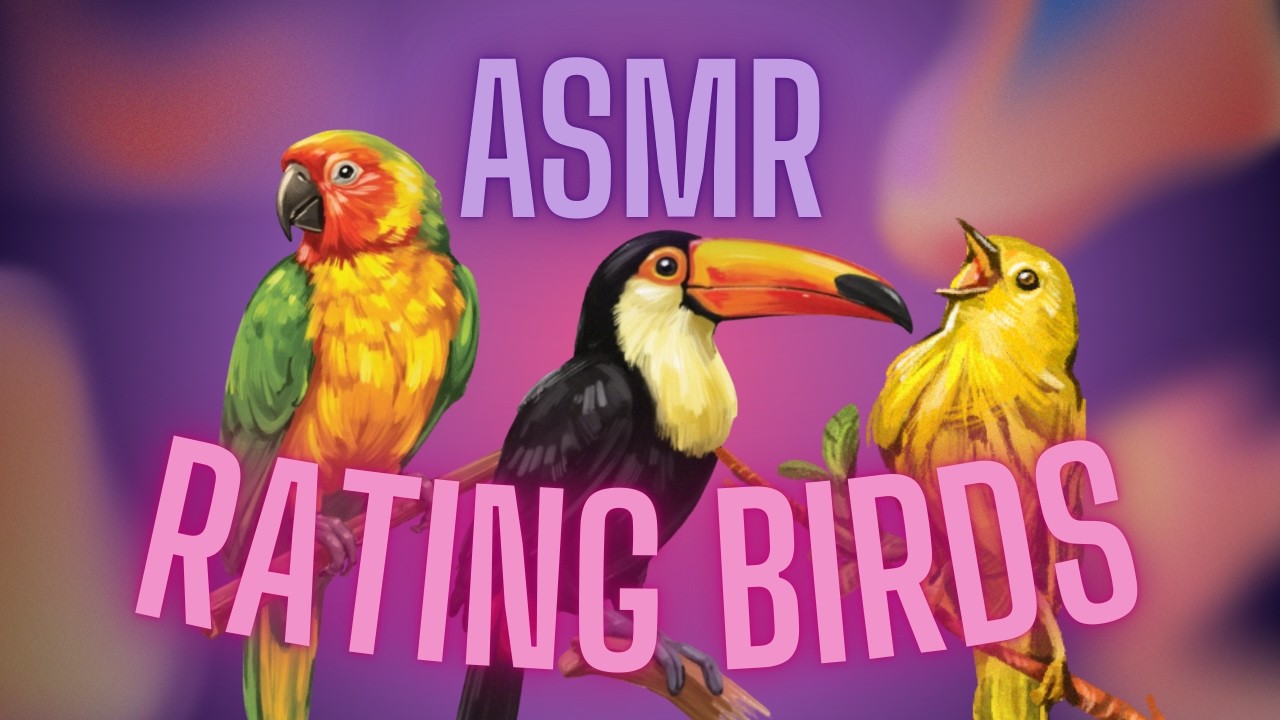 asmr | ranking birds to help you fall asleep 🐥 (whisper ramble + fluffy mic cover)