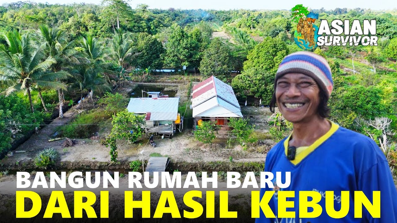 ALPUKAT, DURIAN, CABE BERBUAH LEBAT DI LAHAN MILIK PAK HERI, WARGA  TRANSMIGRASI KALIMANTAN UTARA