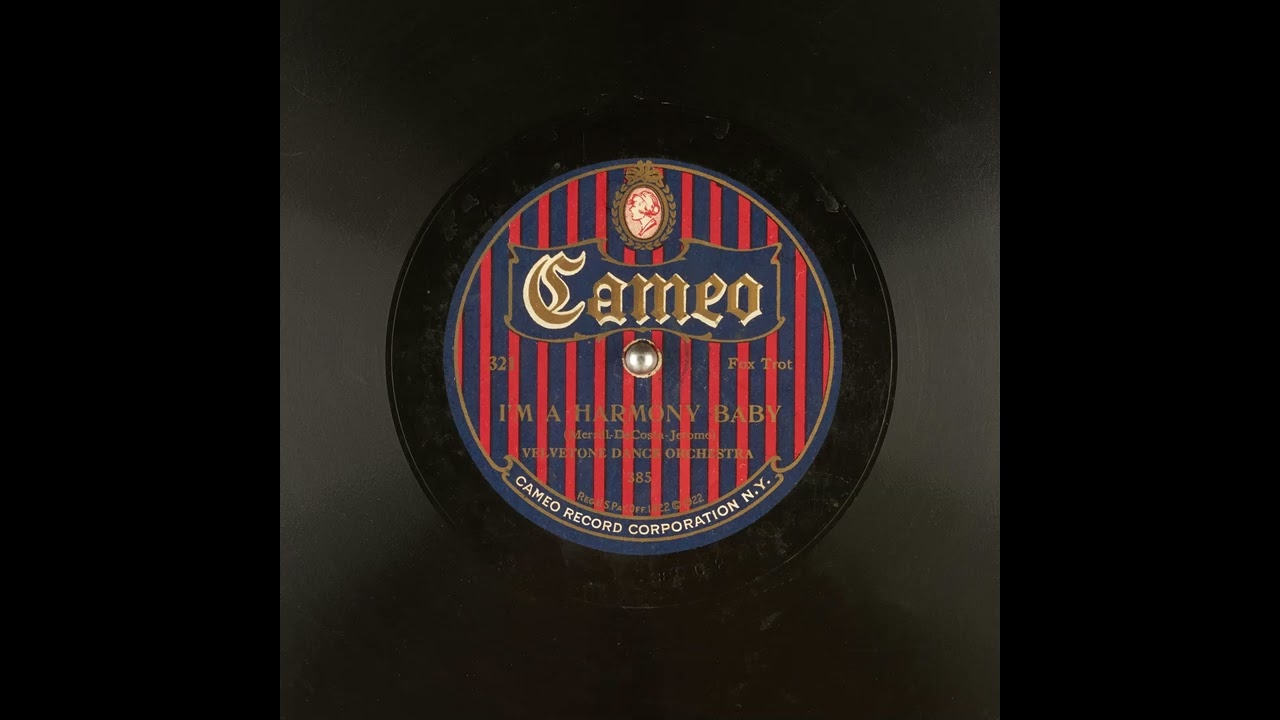 I'm a Harmony Baby - Velvetone Dance Orchestra