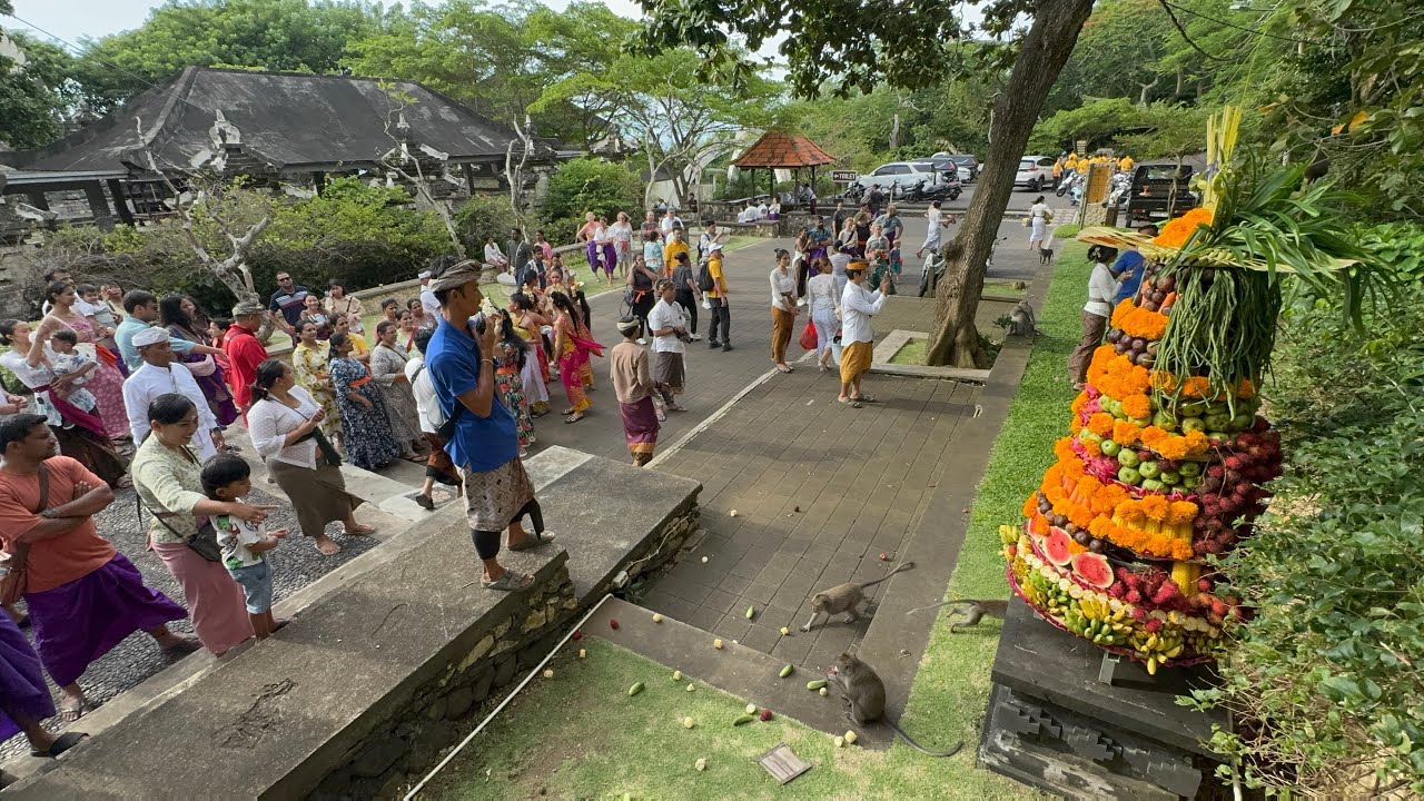 Perayaan Tumpek Kandang di DTW Uluwatu, Sebagai Wujud Syukur dan Upaya Pelestarian Satwa