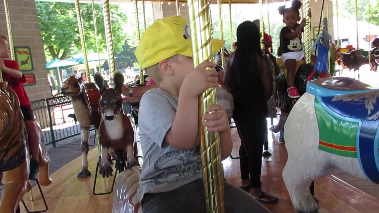 Merry Go Round at Brookfield Zoo