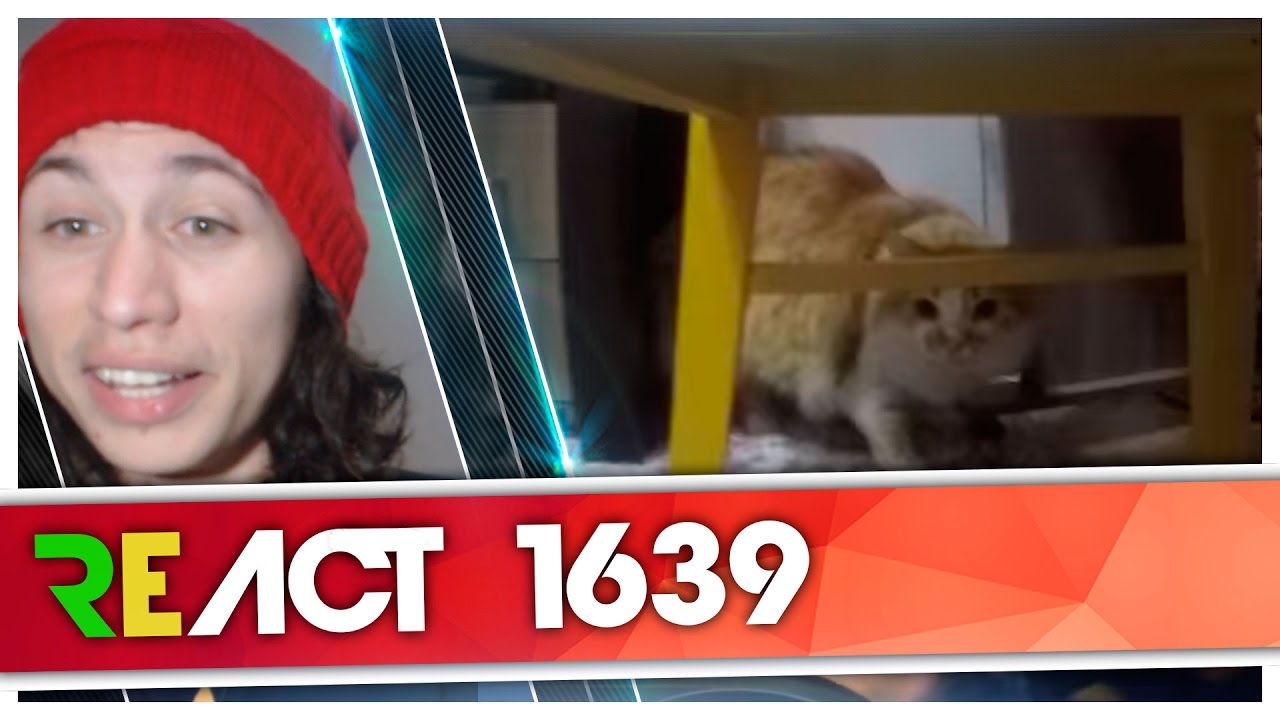 React 1639 RATÃO VS THOR - A GUERRA CONTINUA (Rato Borrachudo)
