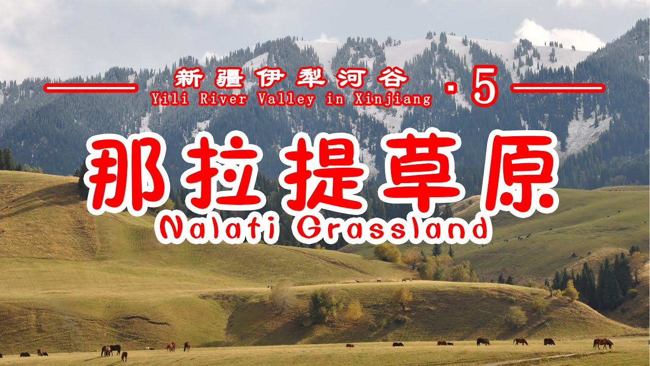 【新疆伊犁河谷▪5】自驾新疆，听说有姑娘从可可托海嫁到了伊犁，只因为那拉提草原的美丽