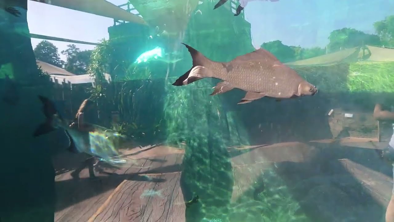 BAYI LIHAT IKAN BESAR , REAKSI LUCU "DEVAN JALAN-JALAN KE MARINE PARK BALI" 