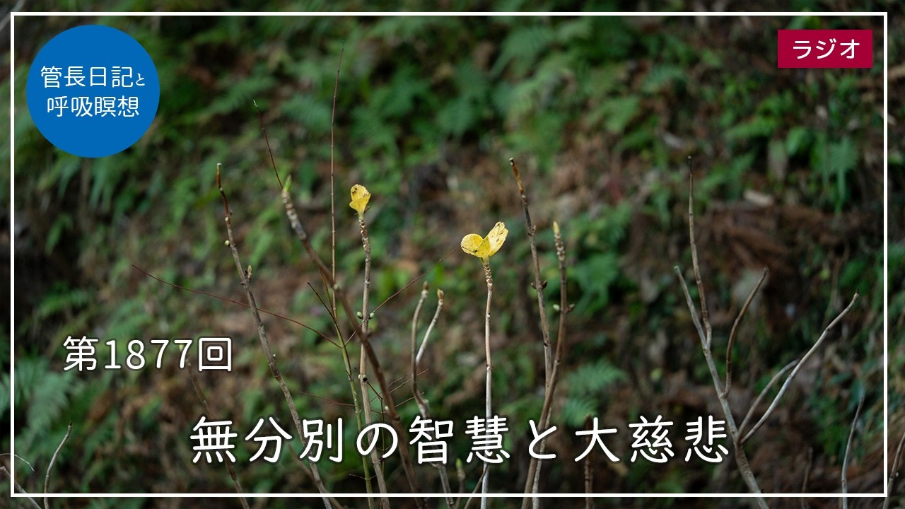 第1877回「無分別の智慧と大慈悲」2026/2/26【毎日の管長日記と呼吸瞑想】｜ 臨済宗円覚寺派管長 横田南嶺老師