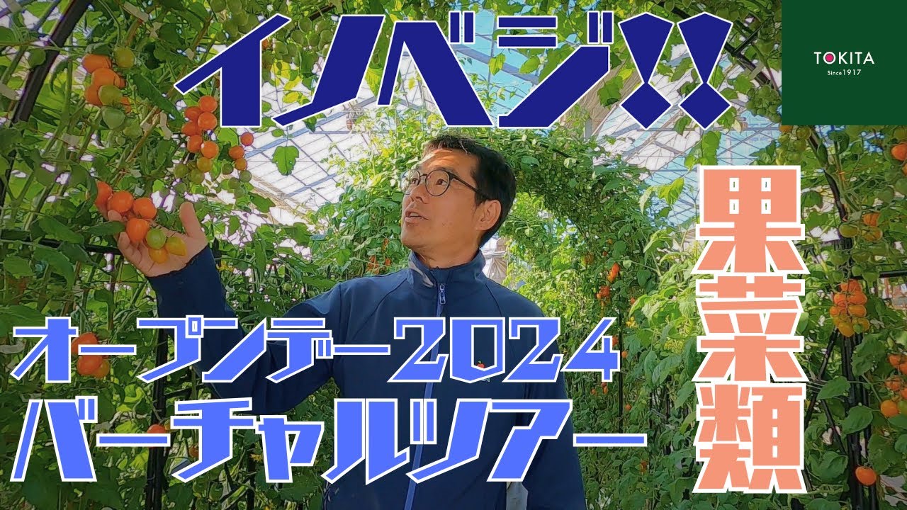 【トキタ種苗】オープンデー2024バーチャルツアーその1～果菜類～【公式】