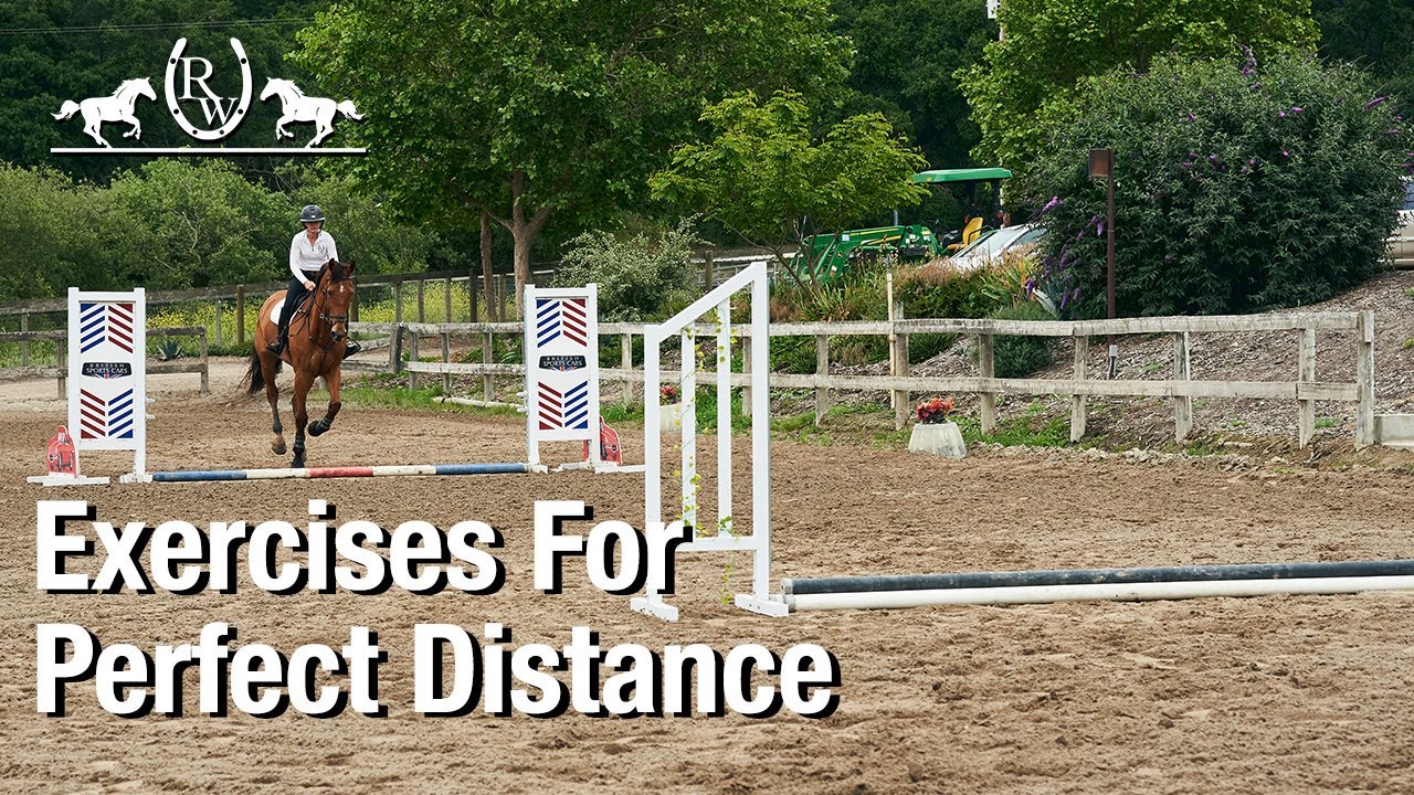 Exercises to Help Create the Perfect Distance