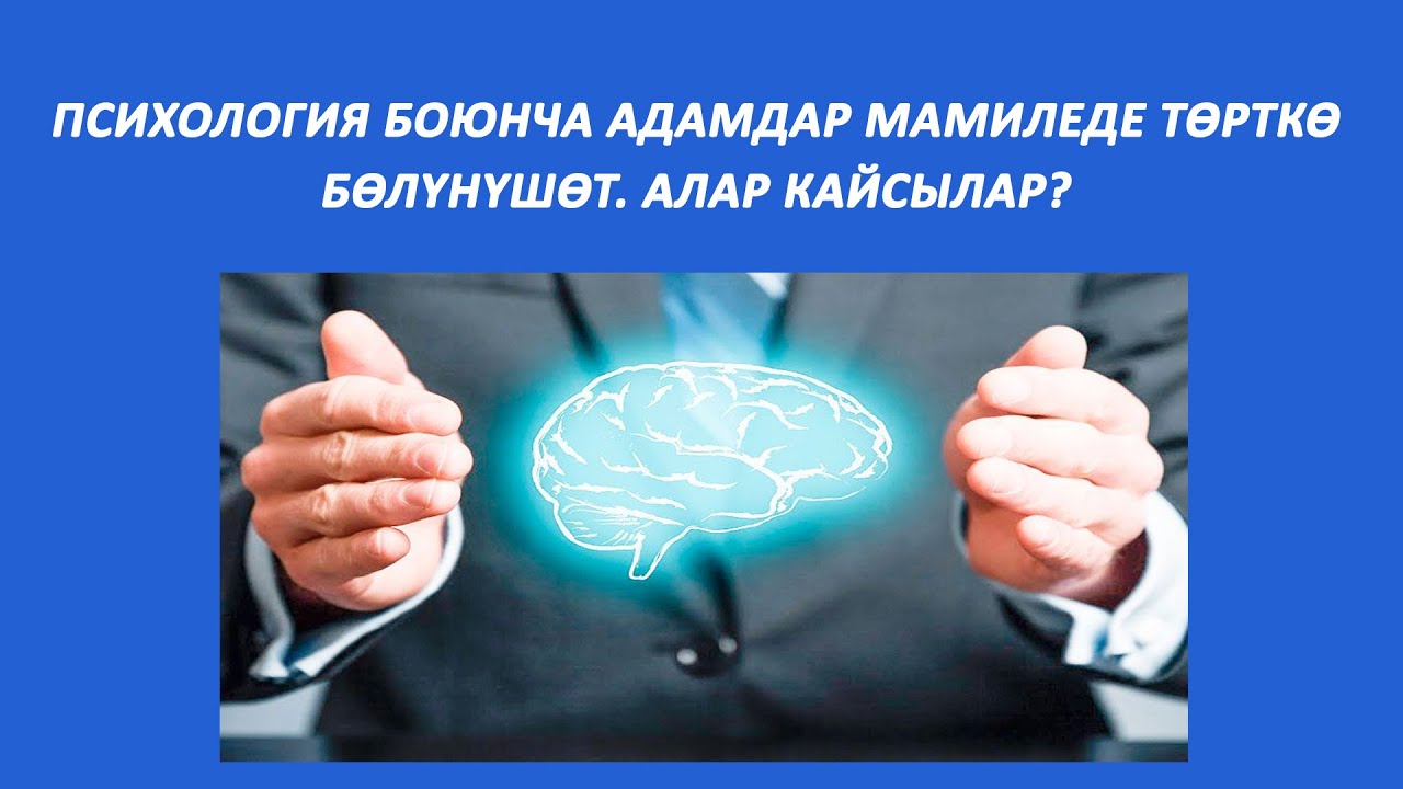 Психология боюнча адамдар мамиледе төрт төрт түргө бөлүнүшөт. Алар кайсылар?