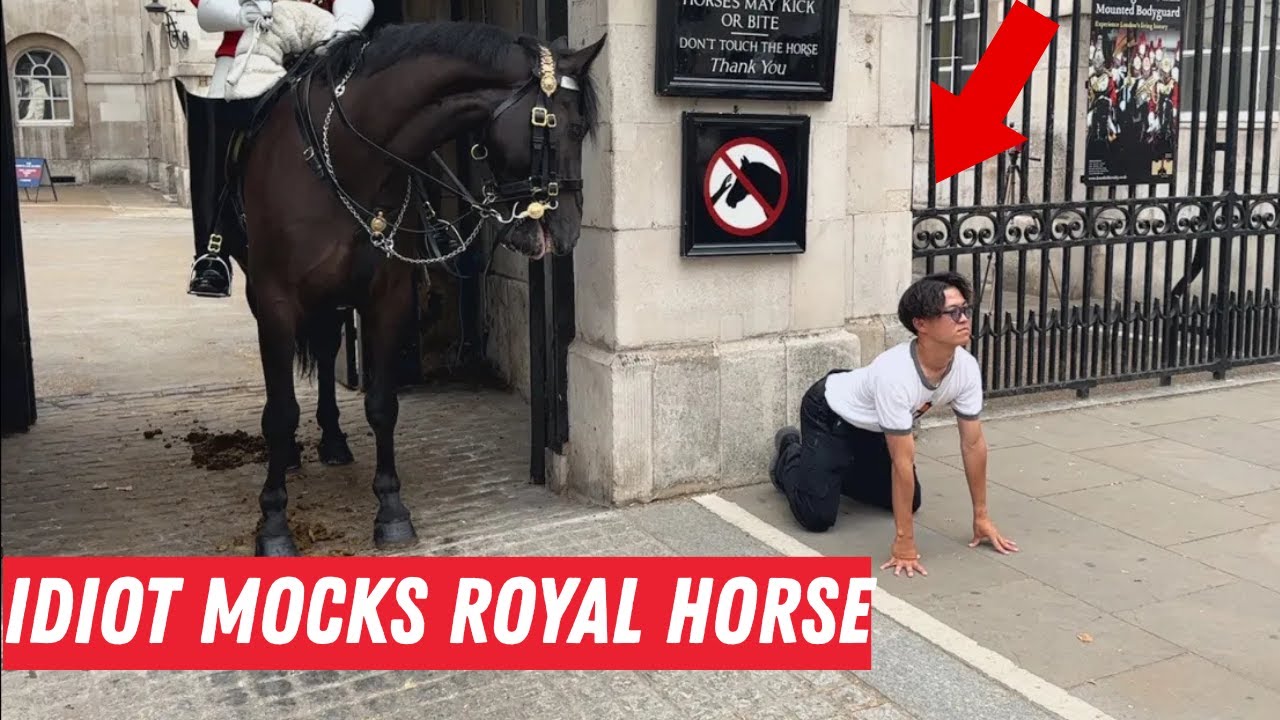 Disrespect Tourist MOCKS Royal Horse — Instantly Regrets It!