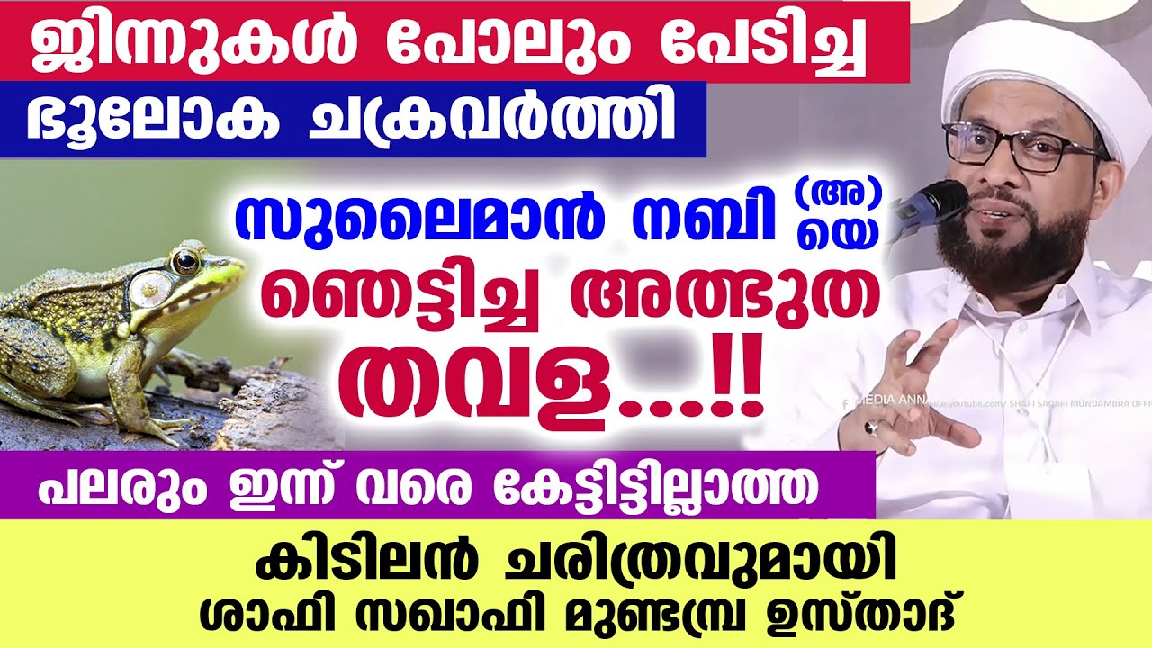 സുലൈമാൻ നബി(അ) യെ ഞെട്ടിച്ച അത്ഭുത തവള...!! പലരും ഇന്ന് വരെ കേട്ടിട്ടില്ലാത്ത ചരിത്രം | SHAFI SAQAFI