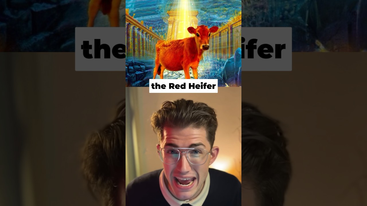 RED HEIFER PROPHECY UPDATE 2024😱 #bible #god #shorts