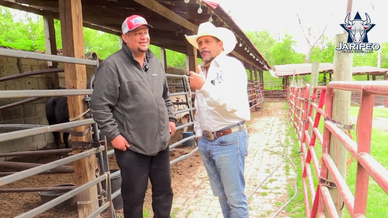 ALBERTO MENDOZA LA COMPRA VENTA DE TOROS DE REPARO