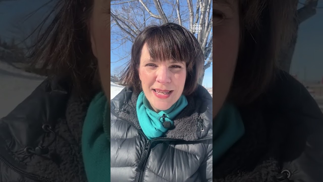 Le PQ remporte l'&eacute;lection partielle dans Chicoutimi | Vid&eacute;ojournal