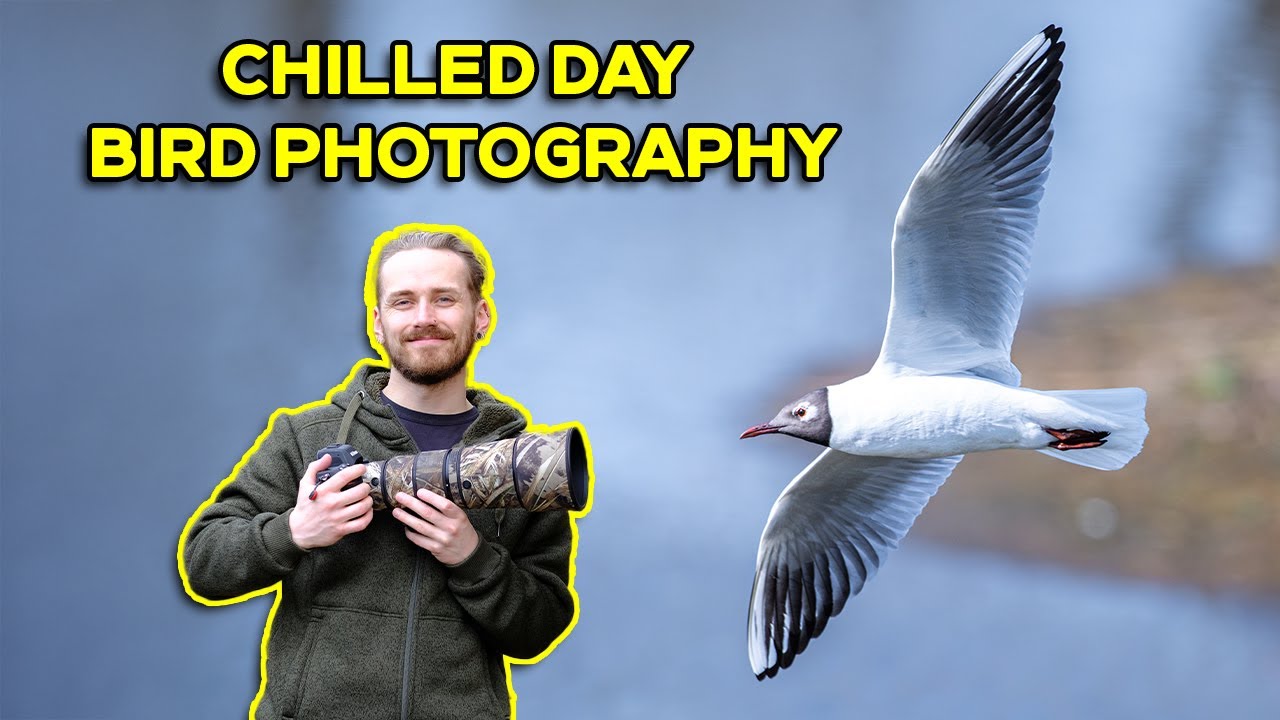 Relaxing Day Spent Photographing Birds