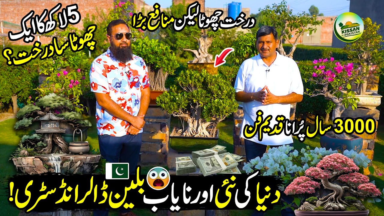 BONSAI Gardening | Ancient Japanese Art | Billion Dollar Industry | Kissan Ka Pakistan