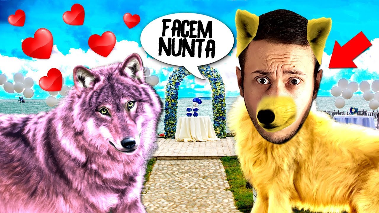 Facem NUNTA cu LUPITA ! Wolf Quest