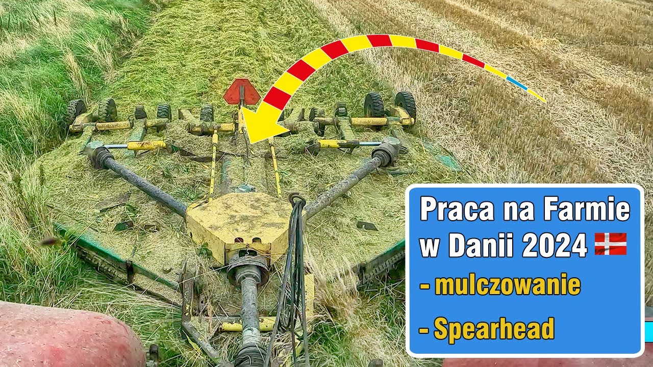 Mulczowanie nieużytków