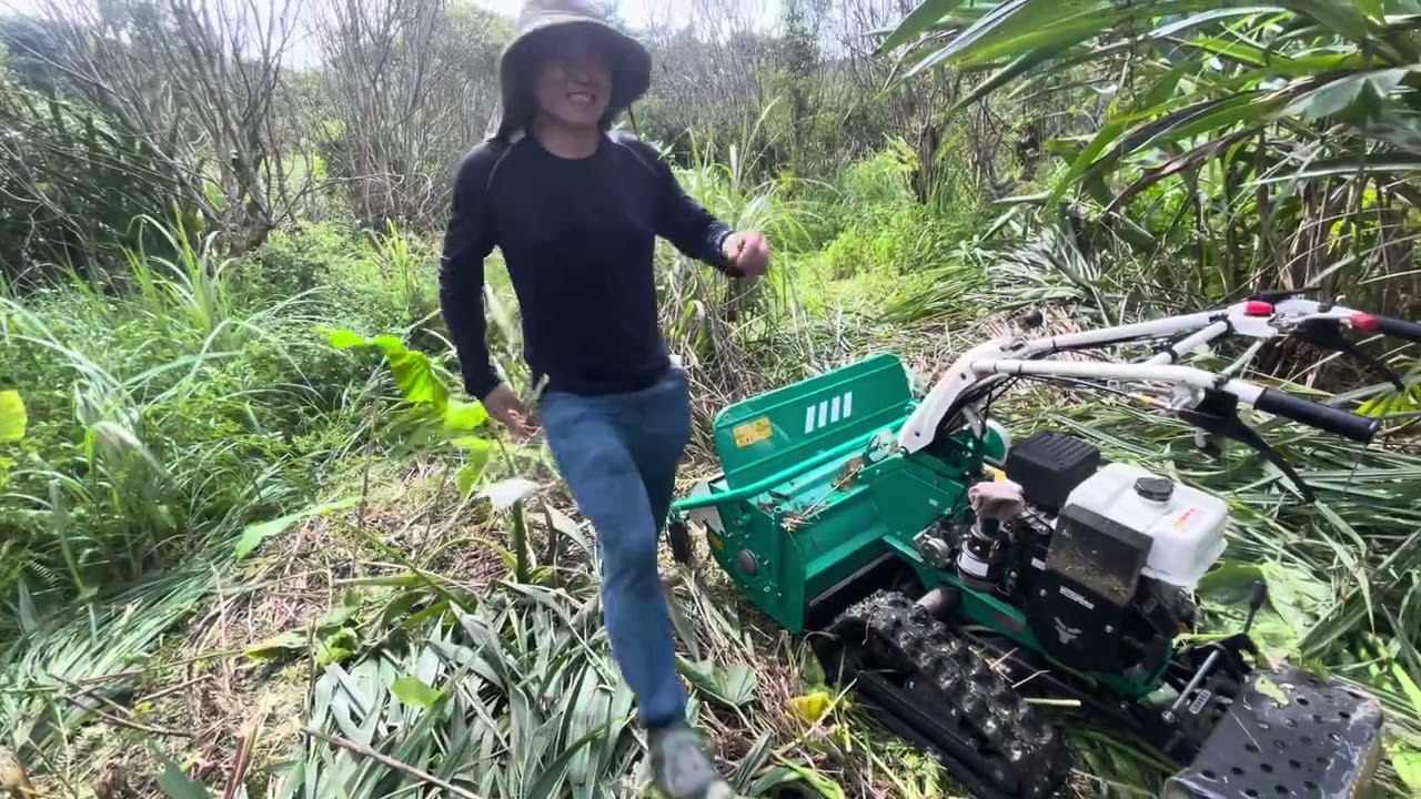 OREC 805 除草機直接將樹除掉！