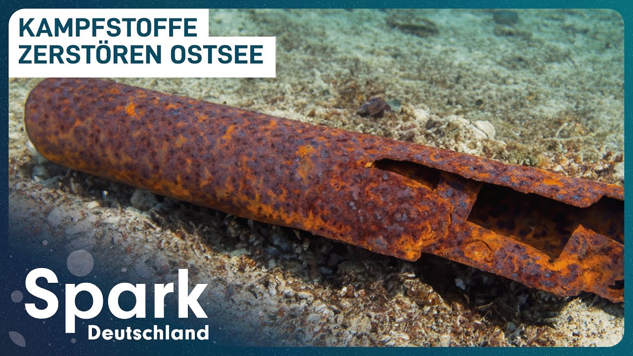 Gefährliche Munition in der Ostsee | Kampfmitteltaucher im Einsatz