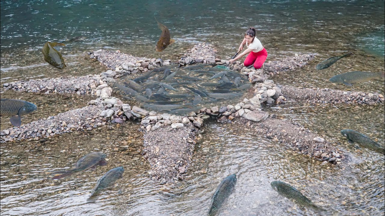 The SECRET to Catching Big Fish With Rock Fishing Trap. How to Make Simple Fish Trap