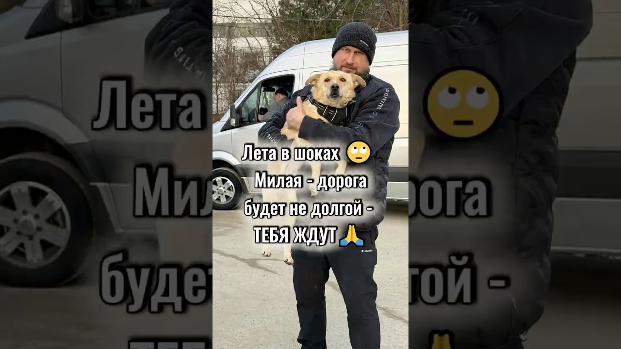 Нижний Новгород, Москва  - встречайте кусочки южного солнца ❤️&zwj;🔥