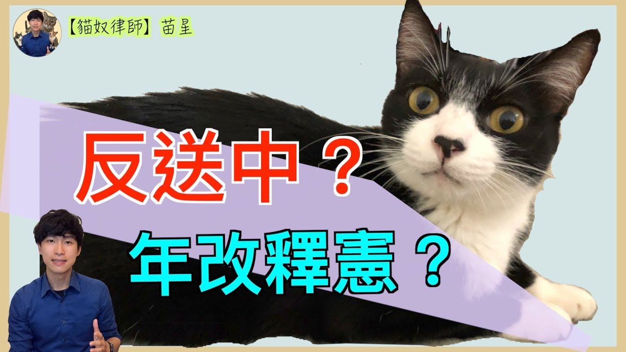反送中？年改釋憲案？ | 律師觀點分享 | 貓奴律師 | 生活法律小學堂