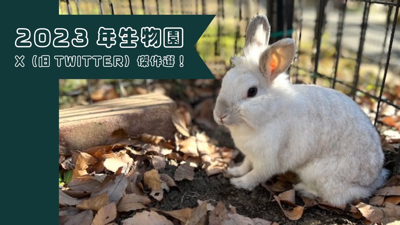 【足立区生物園】2023年ありがとうございました！
