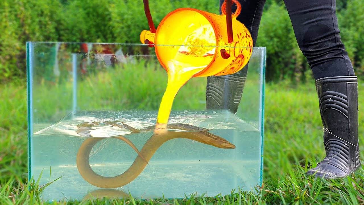 Experiment: LAVA vs ELECTRIC EEL Underwater