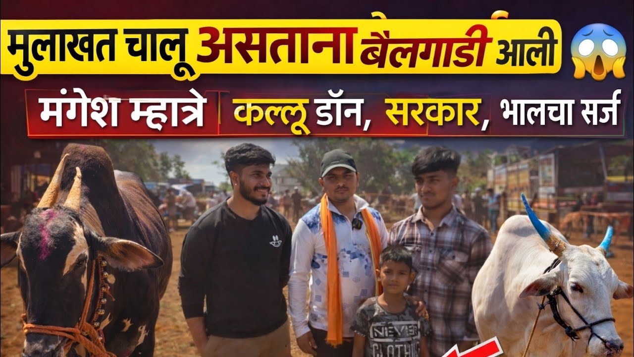 मुलाखत चालू असताना अचानक बैलगाडी आली 😱 | मंगेश म्हात्रे | कल्लू डॉन सरकार भालचा सर्जा
