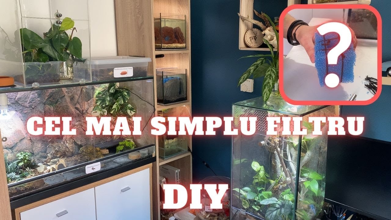 Doua acvarii noi cu cel mai simplu sistem de filtrare