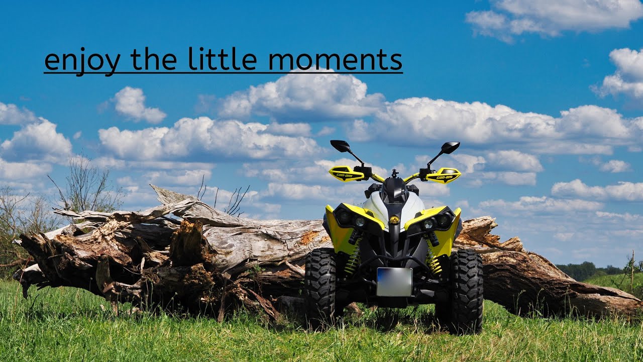 enjoy the little moments