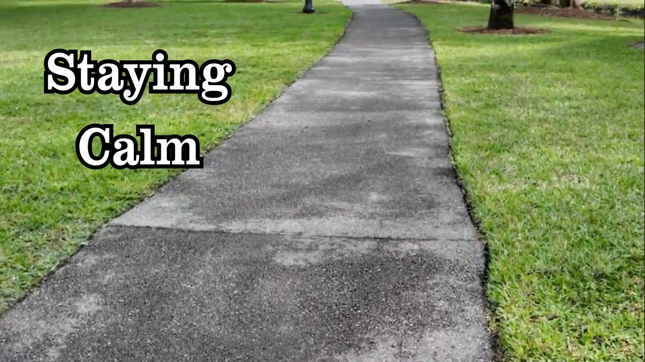 Staying Calm in Tough Situations A Virtual Walk & Talk to Reset Your Mind