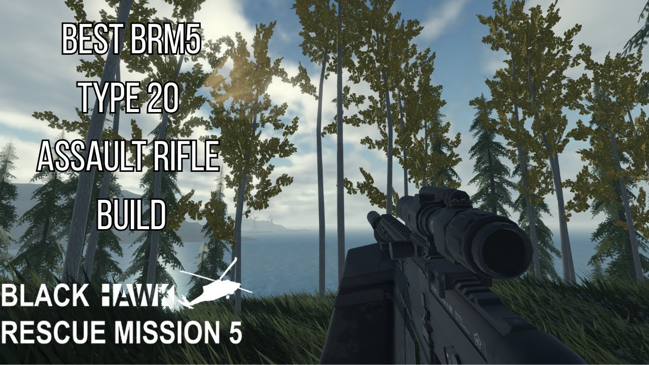 best type 20 assault rifle/carbine build in blackhawk rescue mission 5 (December 2025)