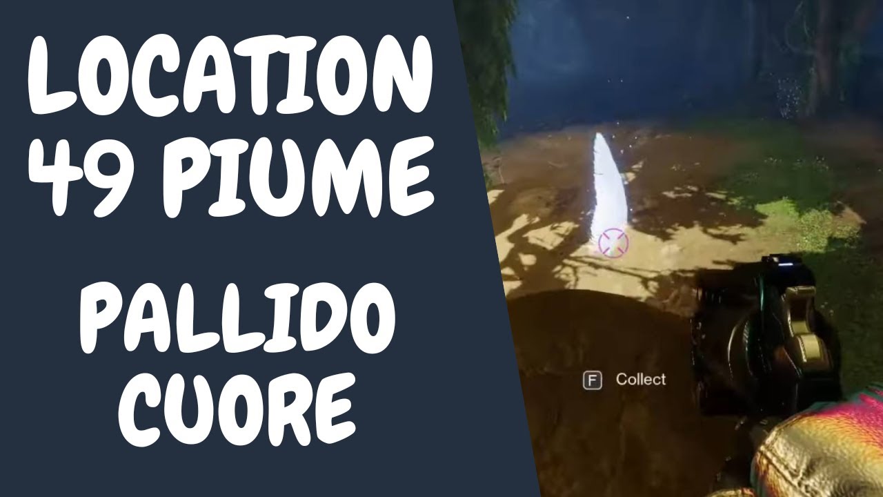 LOCATION TUTTE LE 49 PIUME NEL PALLIDO CUORE / Destiny 2 La Forma Ultima