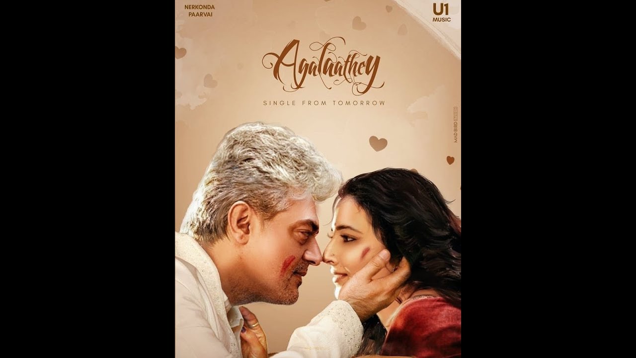 NERKONDA PAARVAI   Agalaathey song instrumental cover