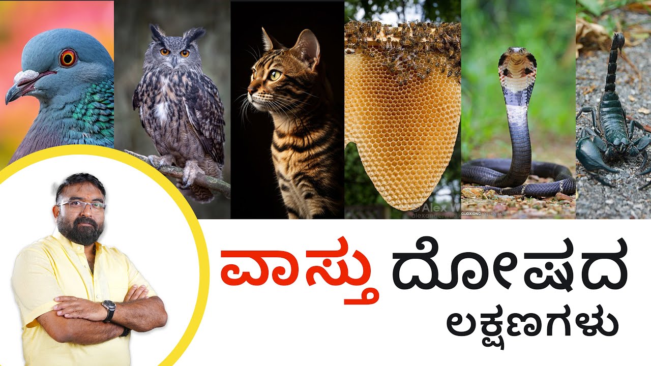 ವಾಸ್ತು ದೋಷದ ಲಕ್ಷಣಗಳು/ Symptoms of Vastu Dosah Kannada.