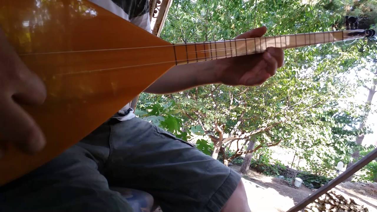 Ali Kerem  Apaydın - Kız Gülbeden