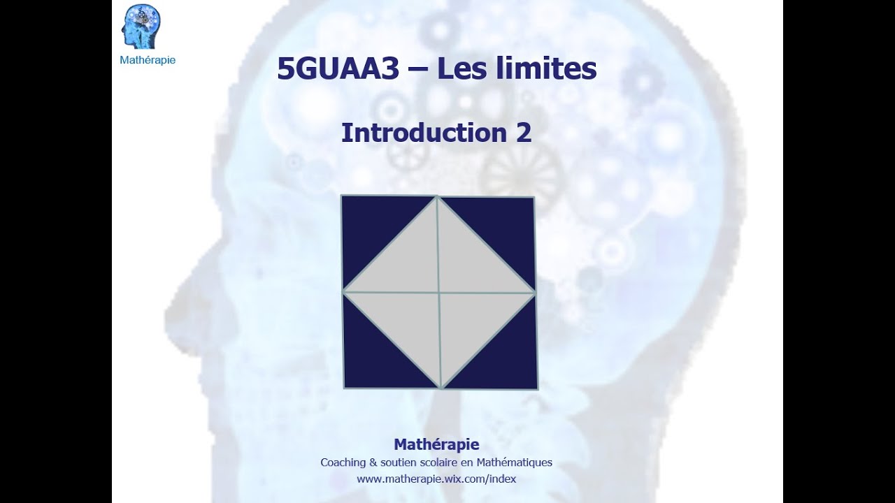 5GUAA3 Introduction aux limites 2