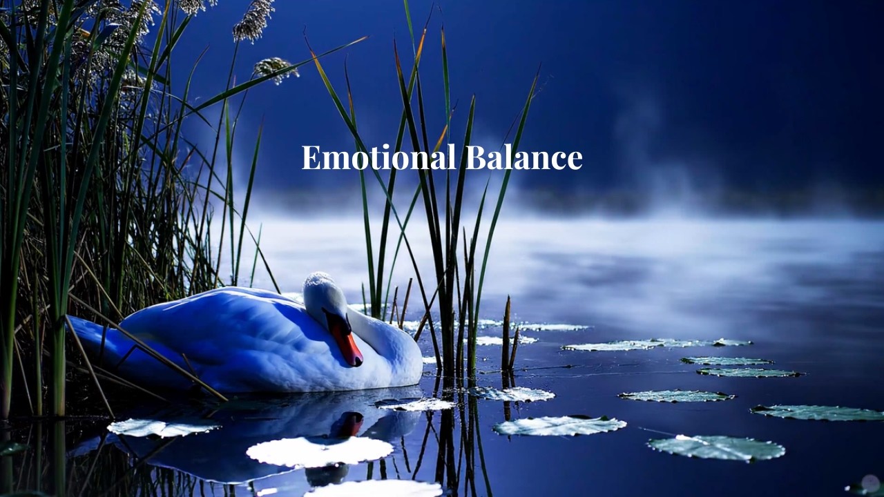 The Swan - Emotional Balance | Calm Night Ambient Music for Deep Relaxation