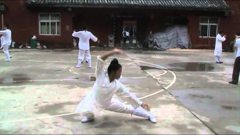 Wudang Ji Ben Quan 1