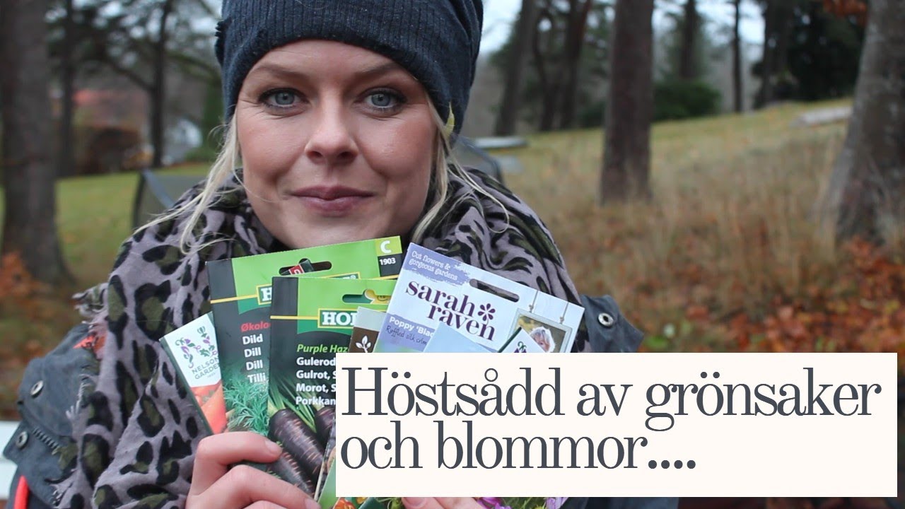 Höstsådd av Grönsaker och Blommor i November!