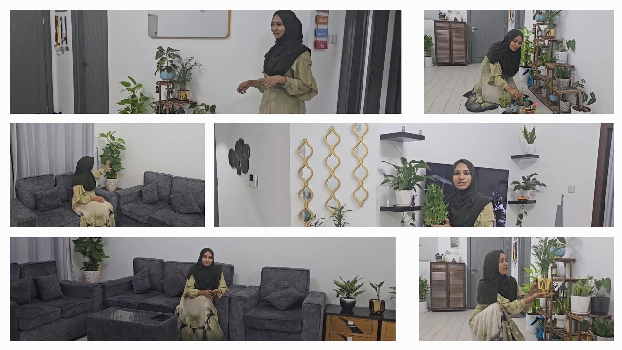 Living room tour and my indoor garden🏡🪴😊