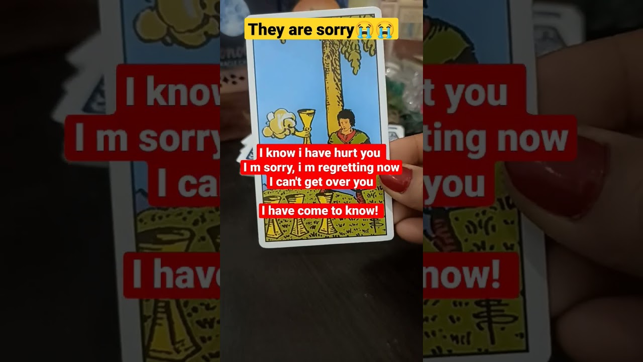 They are sorry 😭😭#currentfeelings#tarot#tarotreading#tarotshorts#timeless#timelesstarot