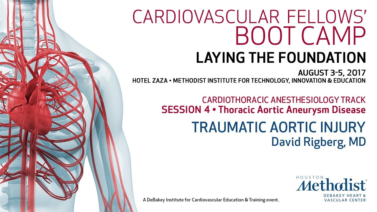 Traumatic Aortic Injury (David Rigberg, MD)