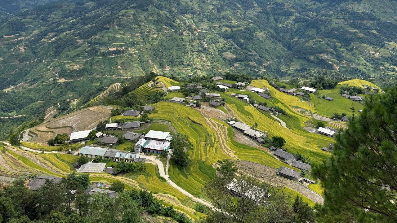The Most Beautiful Terraced Fields in Hoang Su Phi - Ha Giang - Mr. Biu Ha Giang Loop
