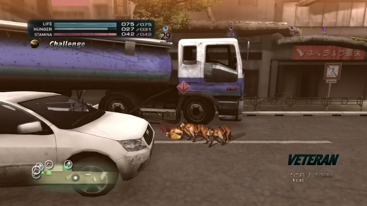 Tokyo Jungle- Survival mode (Cat)
