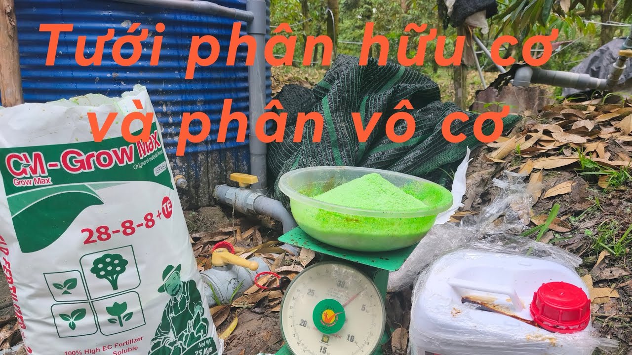 #202 Tưới 28-8-8 của Israel và hữu cơ thổ nhĩ Kỳ 