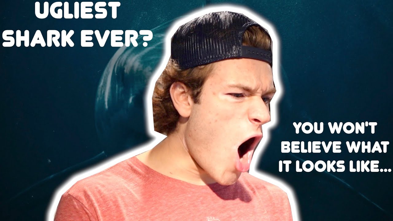 Shark Week Trivia